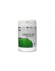 VASCULAR OPTIMIZER POLVO 300 G DE NALE