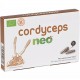 CORDYCEPS NEO 60 CAPSULAS