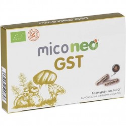 MICONEO GST 60 CAPSULAS