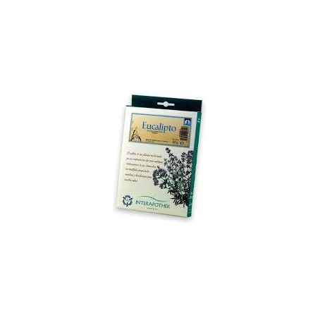 Interapothek eucalipto 40 g Interapothek eucalipto 40 g